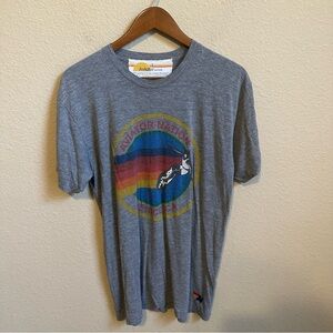 Aviator Nation Venice Beach Grey T-Shirt